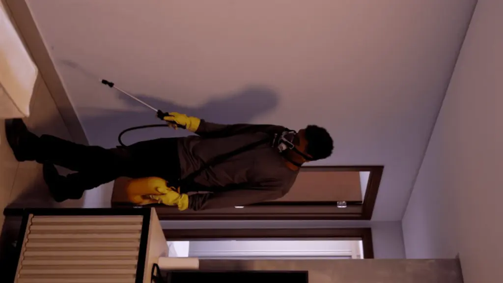 dedetização em apartamento comercial