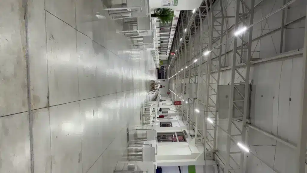 dedetização em lojas