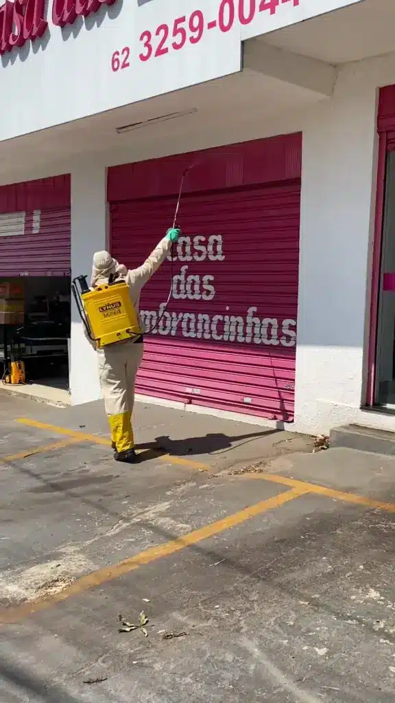 dedetização em lojas