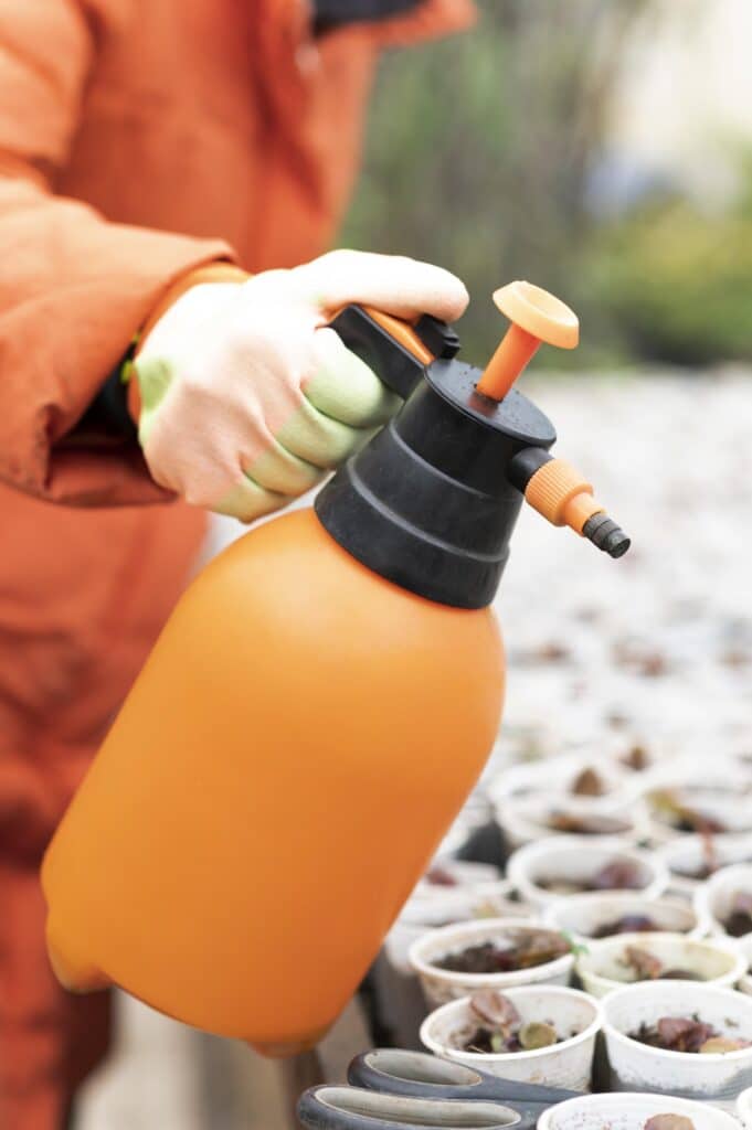 Dedetização ecológica
